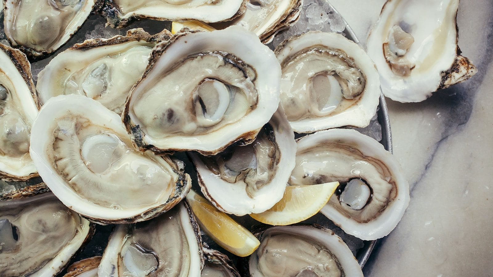 homepage oysters